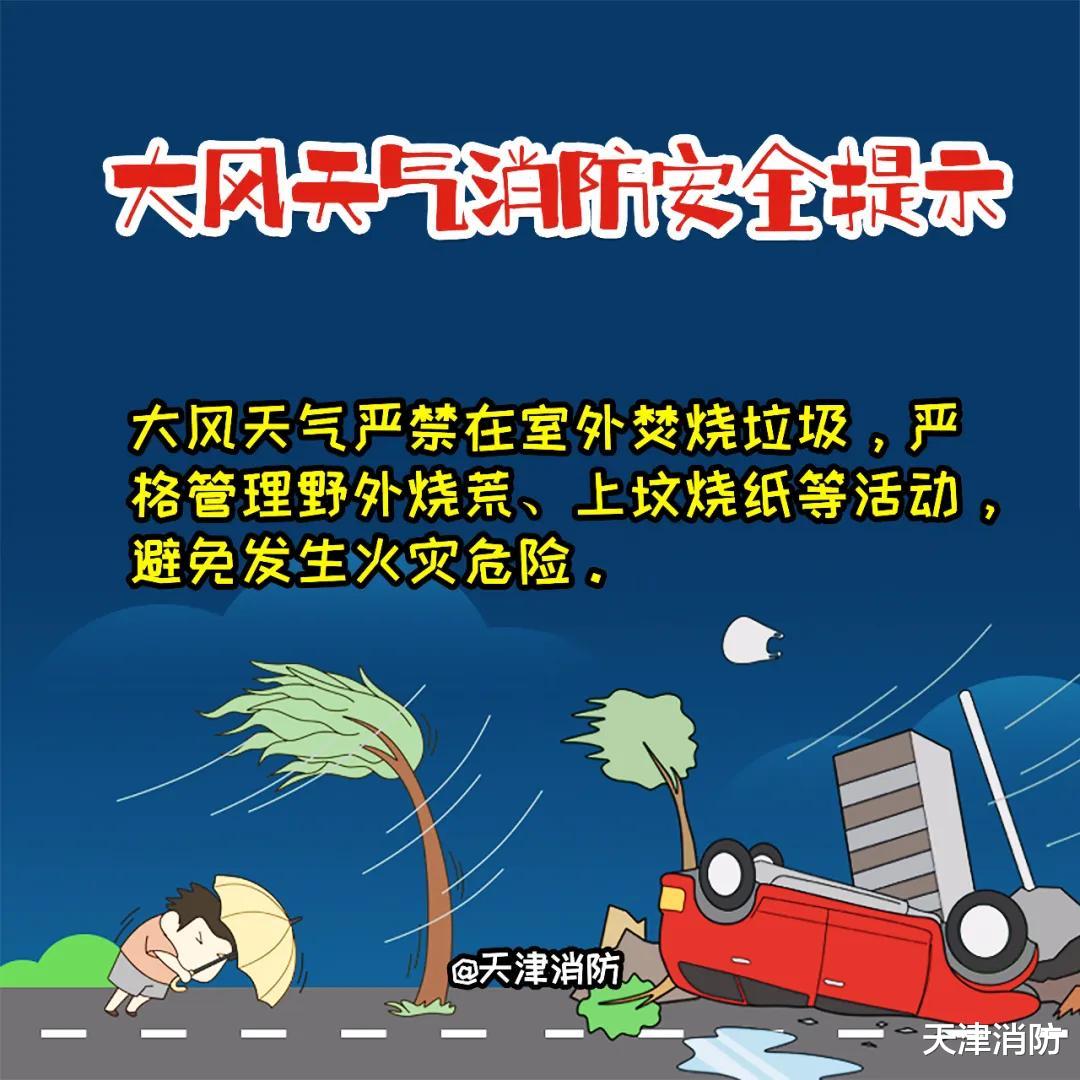 【提醒】天津陸地大風藍色預警-圖4