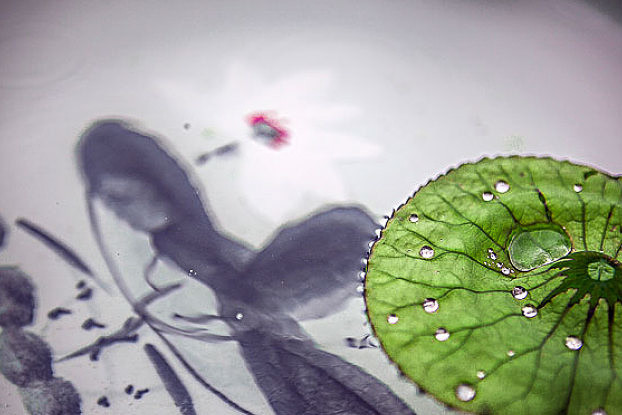 生肖|未来4个月，大喜天降，3生肖出门遇机缘，事业有贵人，一帆风顺