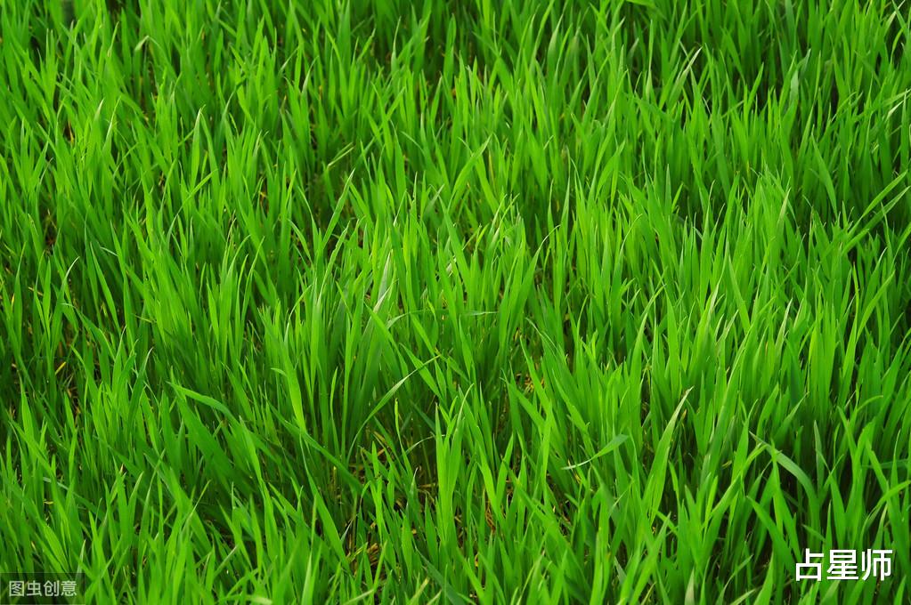 「生肖」（周运）霍莉_6月11日至17日星座运势：理解、接受过去