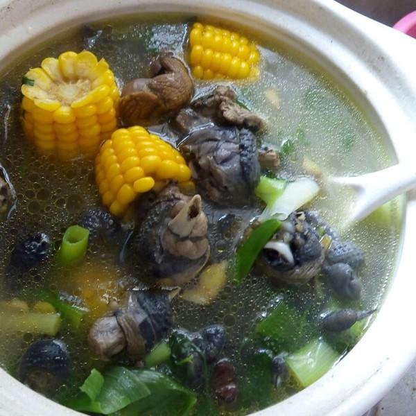 #通便#养生多吃5种黑食物, 通便减肥、抗衰老, 长寿老人的饮食经验