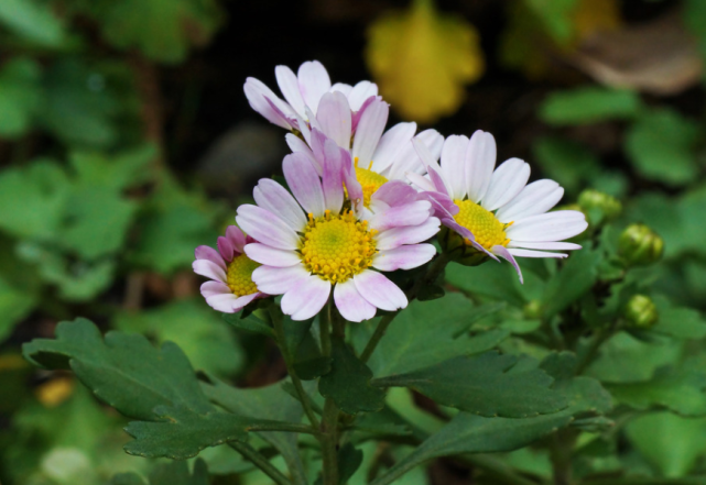 运势|分手后，始终会傻傻在原地坐等旧爱回头的星座，放不下、舍不得