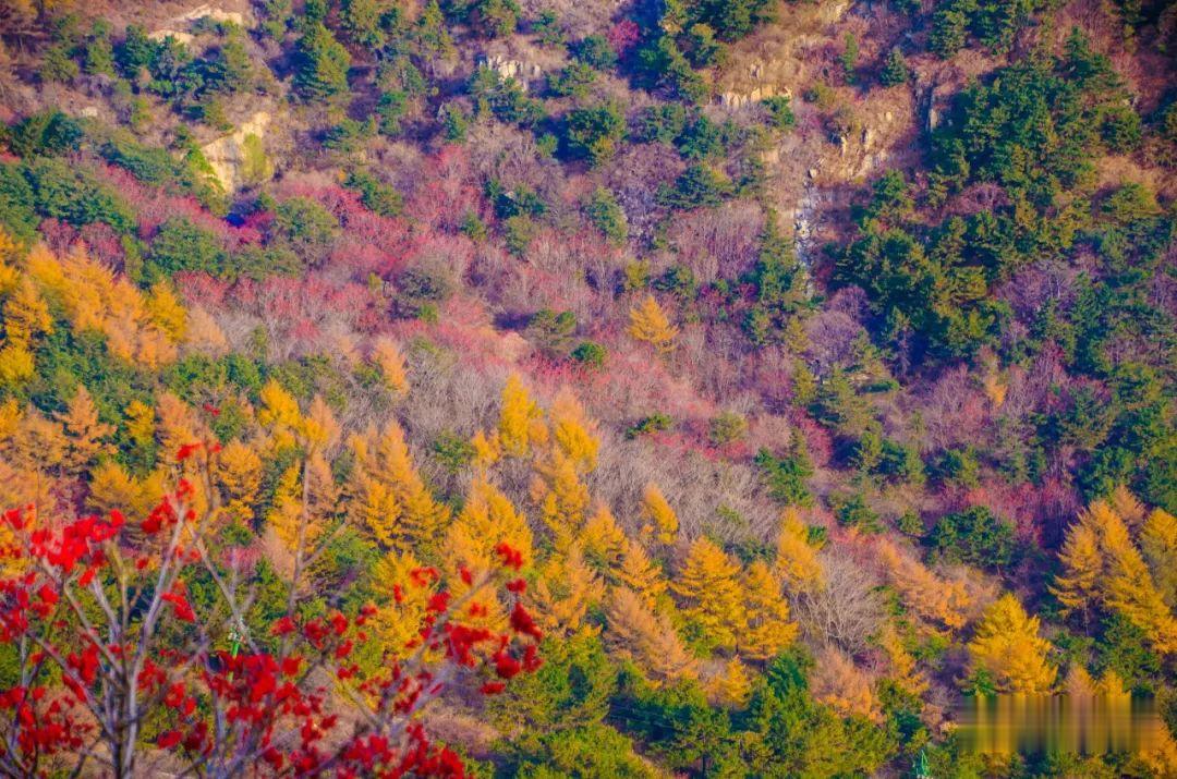 |有此美景 何必远行