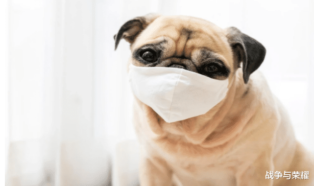 美国▲美国锁定零号病例，地址位于北卡罗来纳州，俄愤慨：这根本不可能