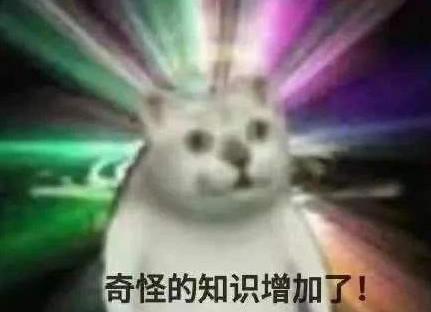 网易|早起靠闹钟？你恐怕还活在上个世纪