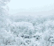 「作文」现在小学生的作文都要逆天了,老师的评价更是千金一字啊!