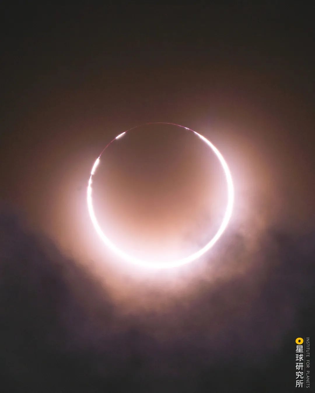 |30张图，偷偷说再见...