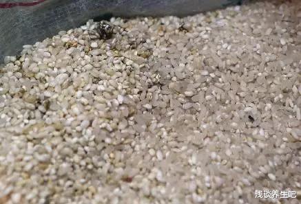 肝脏@保肝,四种食物一口不能碰,若你经常吃,肝脏十有八九已经病变了!