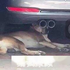 WPS 2019居然还有这些黑科技功能，太无敌了！网友：我Office不服