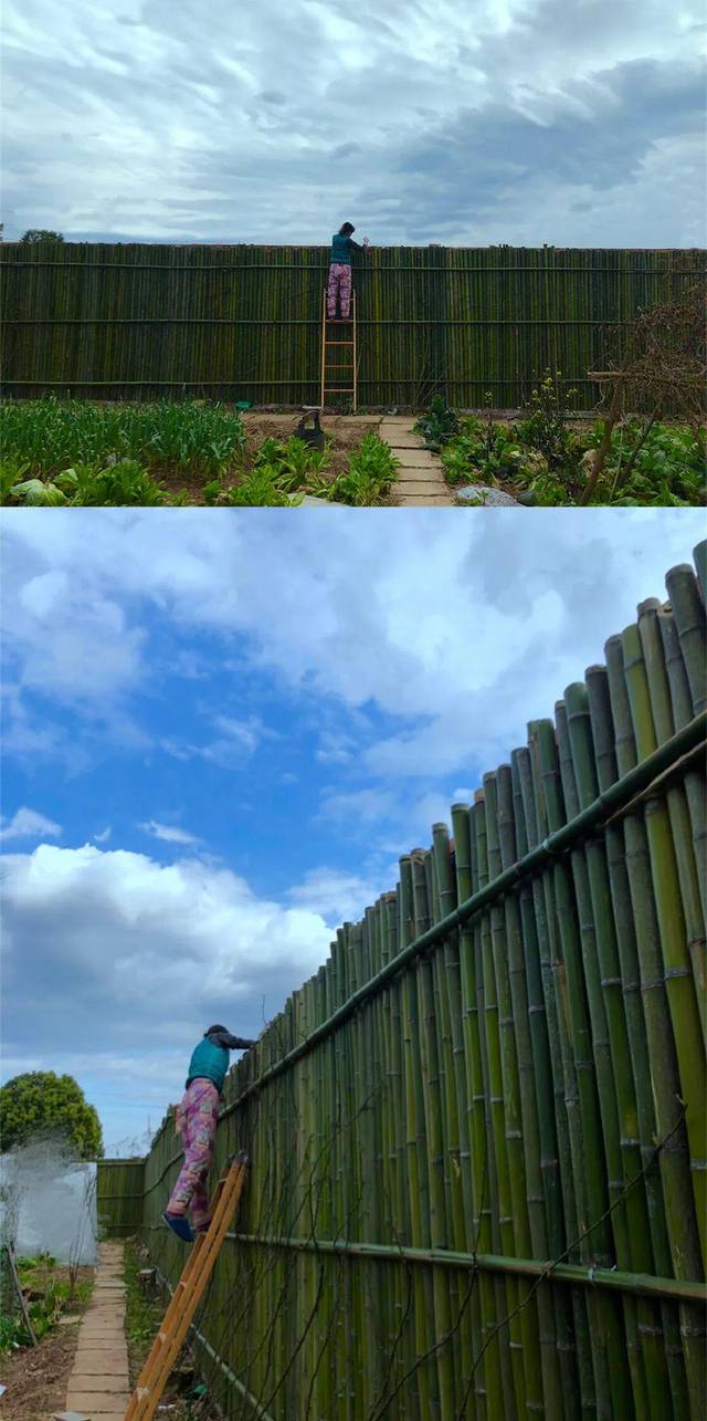 「李子柒」李子柒首次公开豪宅，我却看到背后最悲哀的一幕：中国式审美，太可怕了！