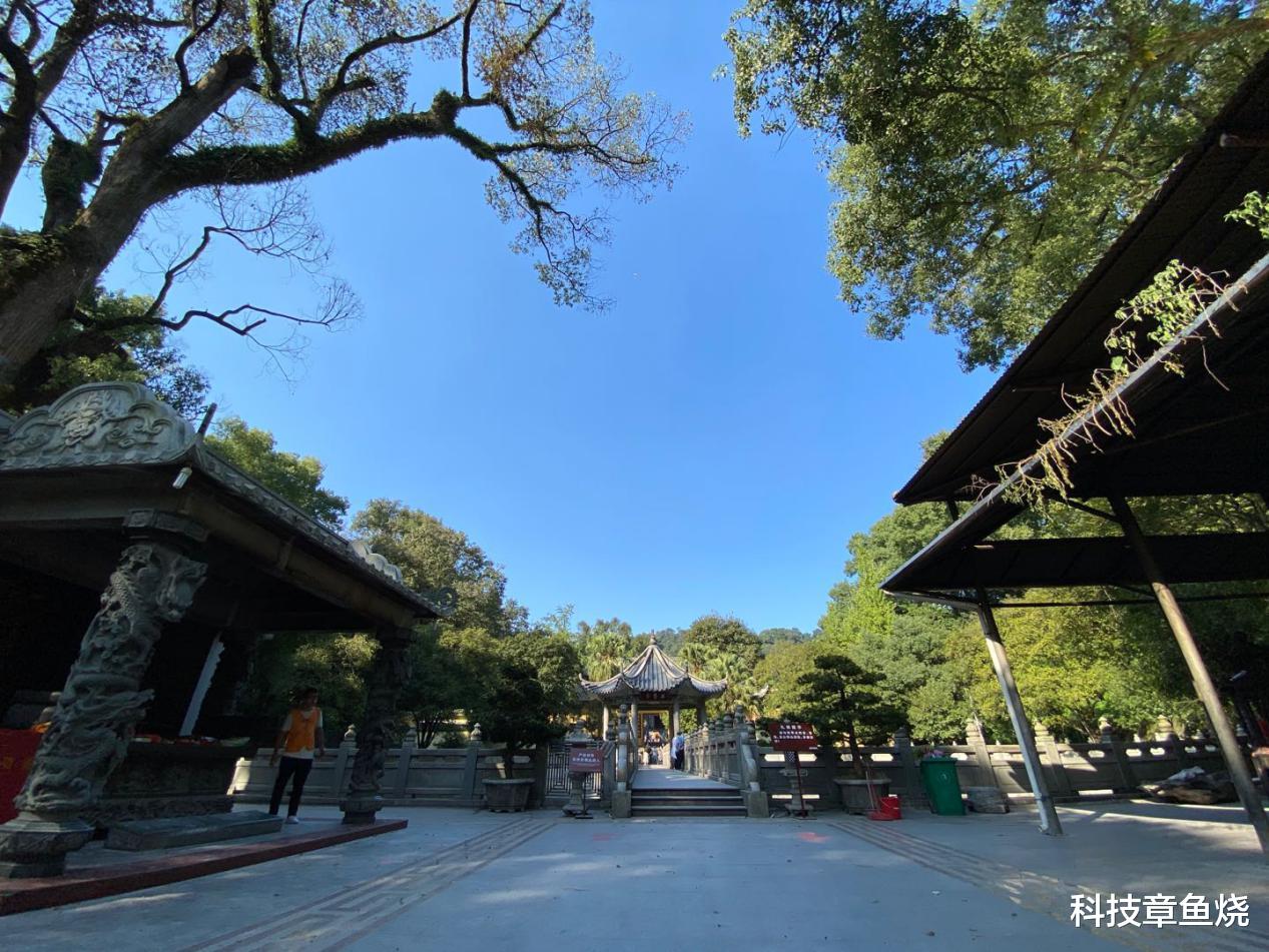 中兴|前后皆好拍，中兴Axon 20拍照使用谈