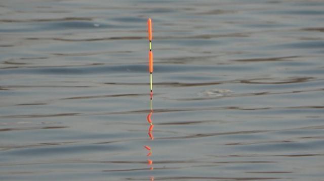 「鲫鱼」钓鱼：碰到小虾闹窝怎么办？