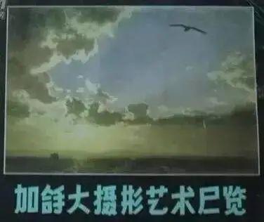 突厥|这些汉字被爹妈用了几十年，但其实原来不存在