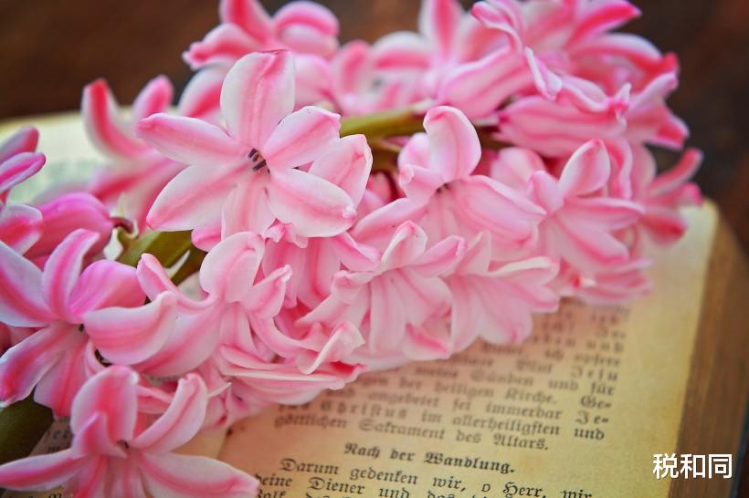 「天蝎座」6月下旬事业马到成功，财运不断，横财大发，有钱有房3大生肖