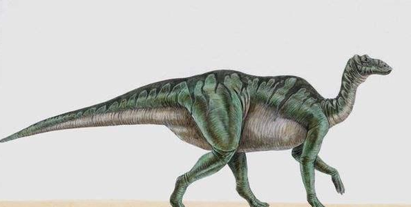 『外星人』恐龙化石中出现外星人头盖骨！专家: 第一批来的，都被吃了