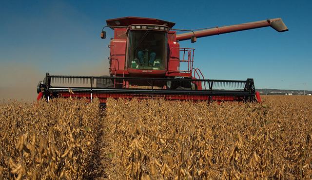 『俄罗斯』美同意签“无病毒”证明后，近1600万吨大豆进口中国，反超俄罗斯