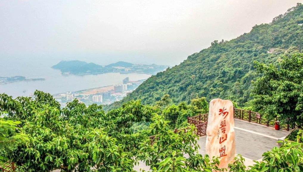 青岛市|三亚“巨无霸”公园走红，号称三亚“绿肺”，门票106游客不绝