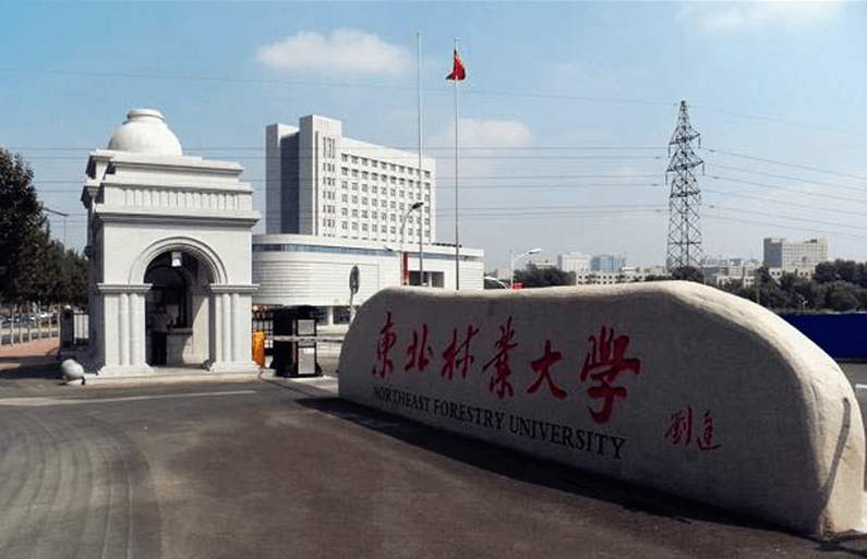 大学|东北最容易被忽视的211,实力不俗,还素有“小985”的外号