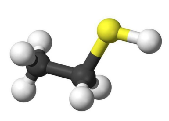 |3种看似愚蠢且不人性化的发明，其实是人类最智慧的体现