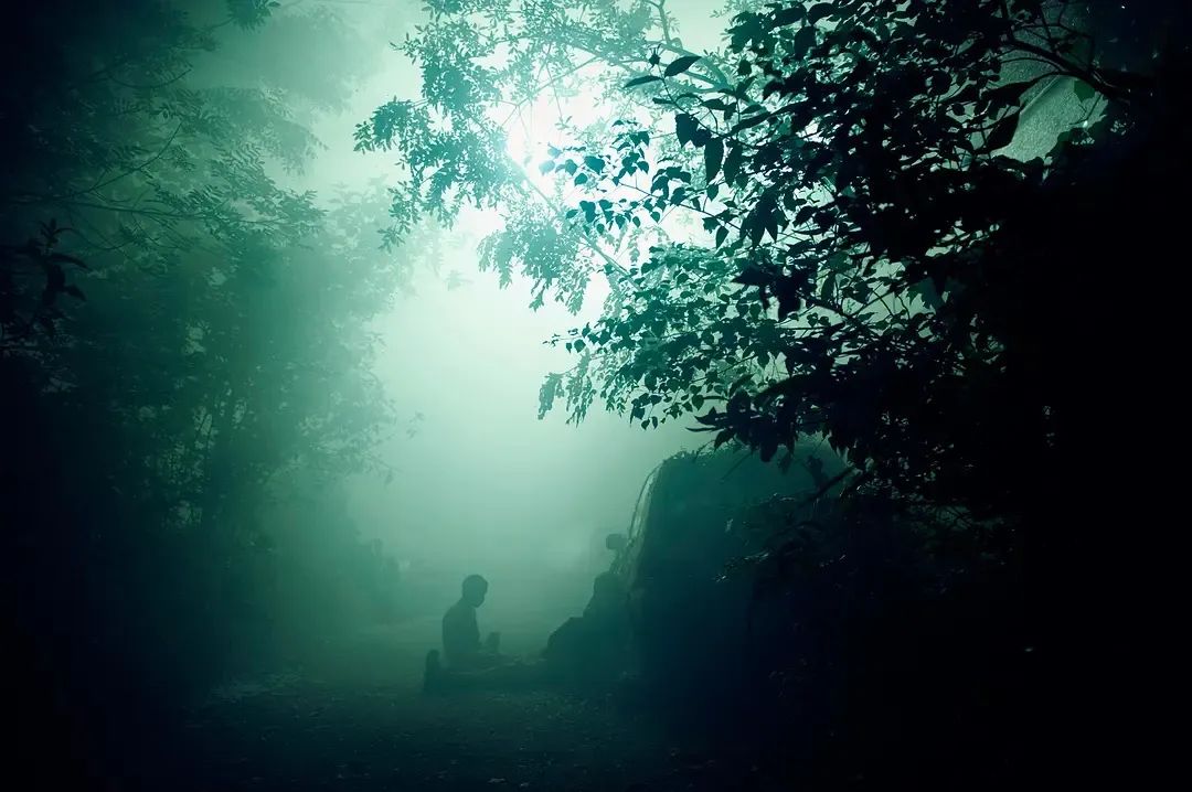 「」恐惧的源头-恐怖片推荐