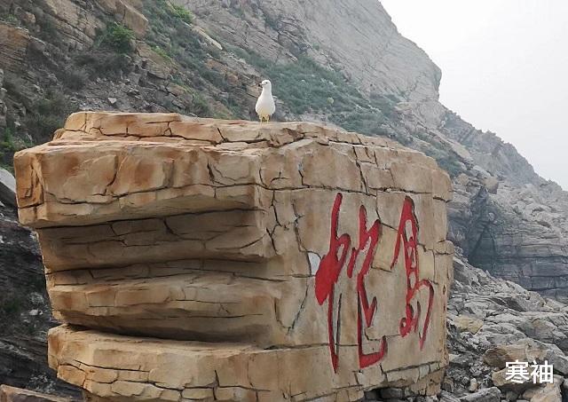 |中国无名蛇岛，栖息2万多条毒蛇，政府每天送吃送喝却从不开放！