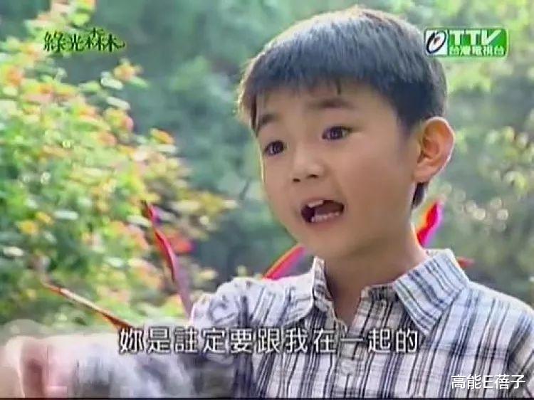 王欣逸|《海豚湾恋人》童星杀人改判17年，死者母亲痛哭：法官还公道