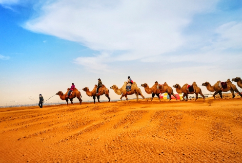 小小看世界 异想天开?中国这一“超级工程”,生命禁区发生奇迹