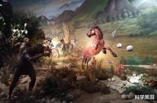 哺乳动物|人类全身“无毛”，却单独留下头和特殊部位的毛发？是什么原因？