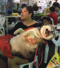 饵料|奔现后遇到照骗，跟这妹子饭还吃得下去吗？哈哈哈哈哈哈