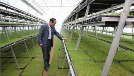 果然悠|在农村办啥工厂，不污染环境还有不错的收益？老农给了3条路子