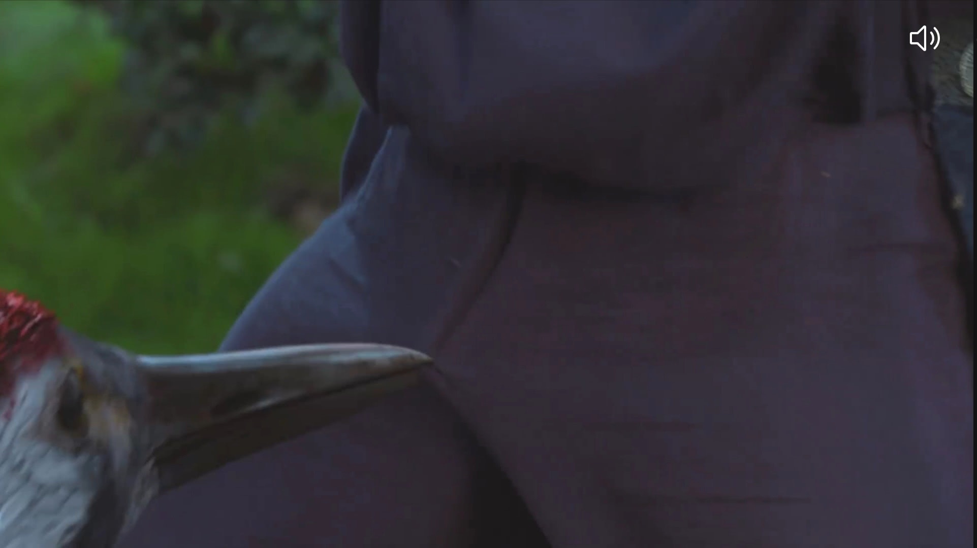 [长相守]《有匪》导演新剧《长相守》开播：尴尬得我脚趾头在地上抠出了三室一厅