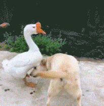 酒吧|“酒吧认识一位妹子，结果都喝大了，大清早给我发这话是什么意思”哈哈哈！