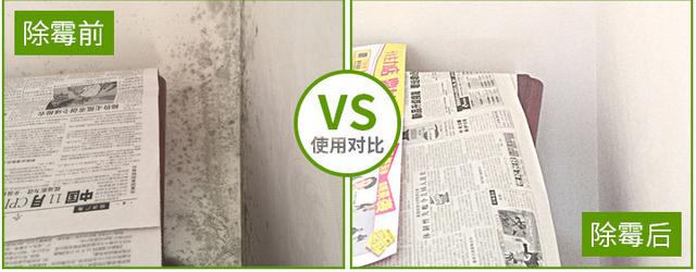 墙体发霉怎么解决？不用花钱请工人！用这款除霉剂一喷霉菌全去除