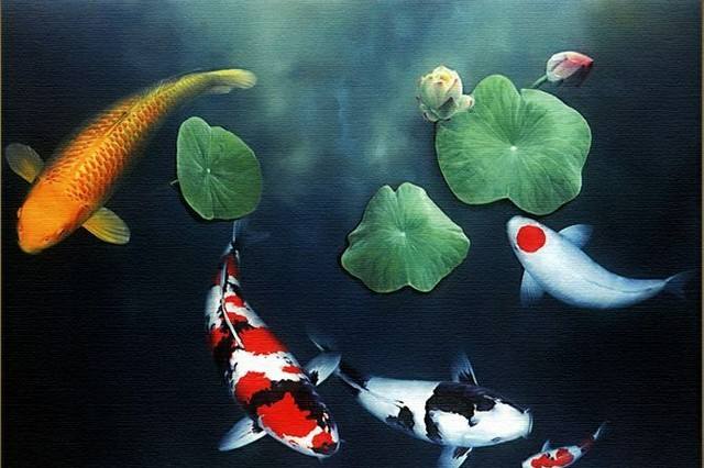 |终于找到八字喜用神了，该如何用它来选择职业呢？