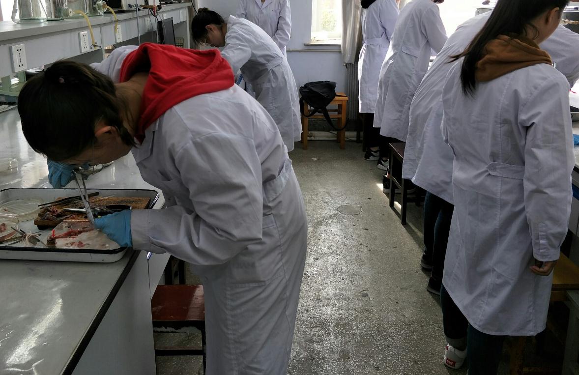 「学霸」高三填报:这6个专业“适合学霸”报考,普通本科生找工作很难