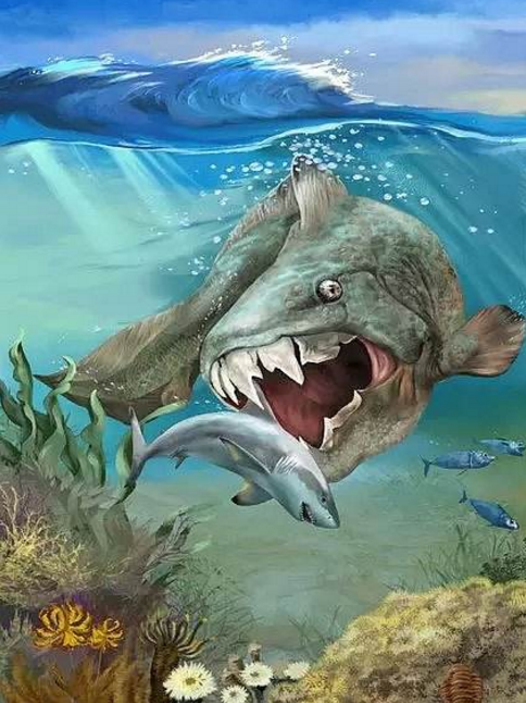 #邓氏鱼#4亿年前的海洋老大，咬合力达1.5亿牛顿，连霸王龙都打不赢它