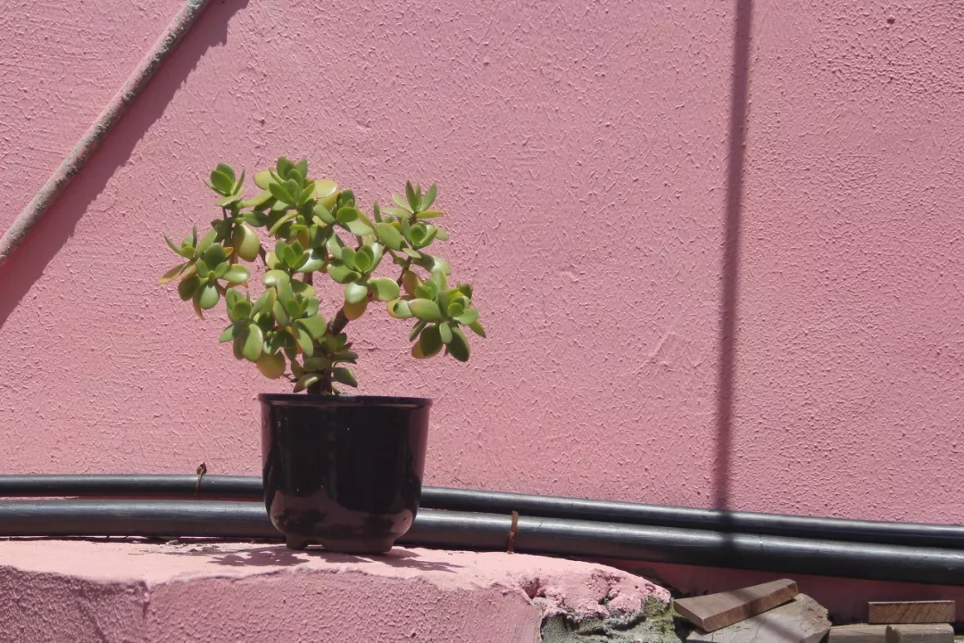 #火山#被称“中国版五渔村”!这座藏在东南沿海的小村落火了!