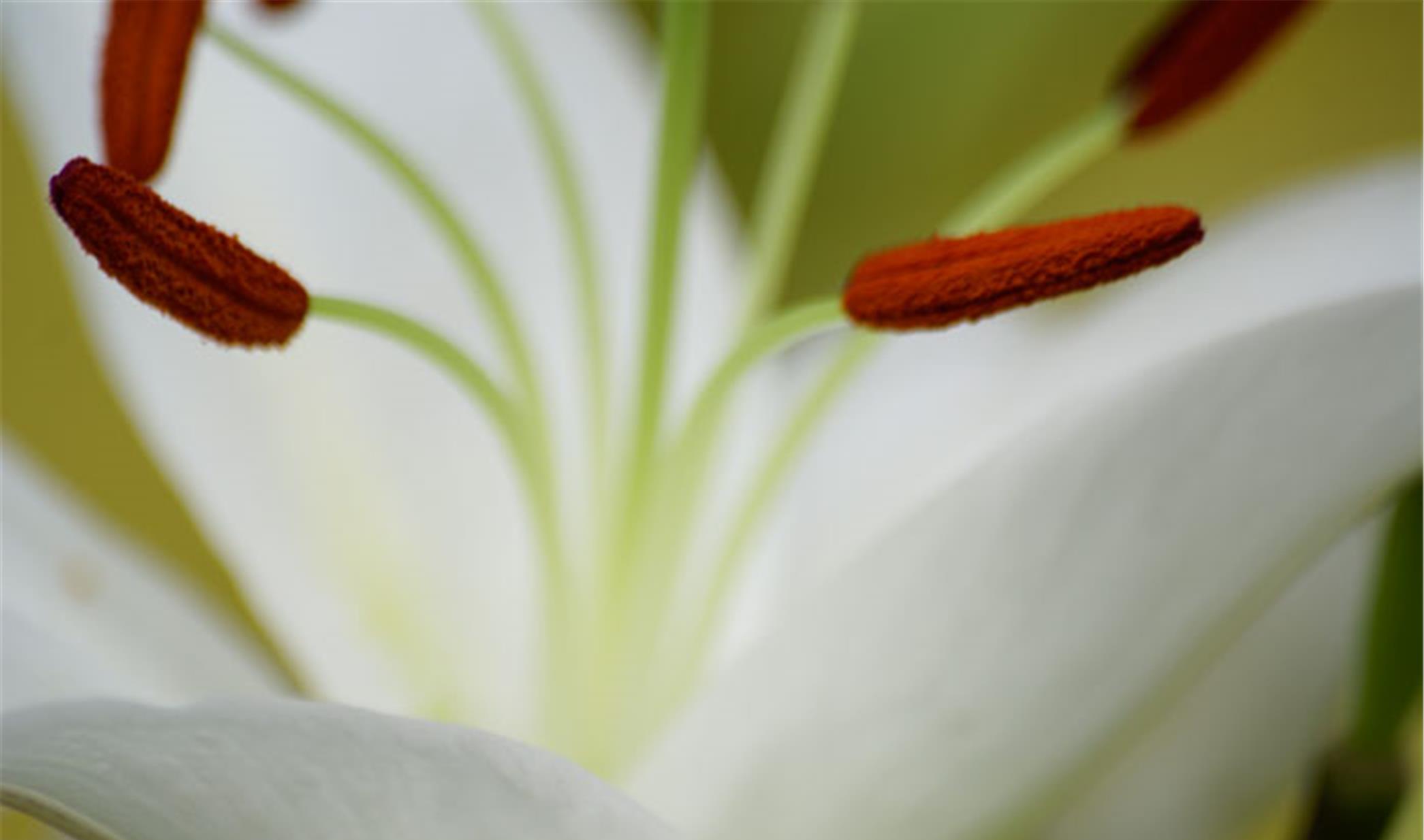 射手座|15天之内，情深似海，倦鸟归巢，3星座重修旧好，没有遗憾