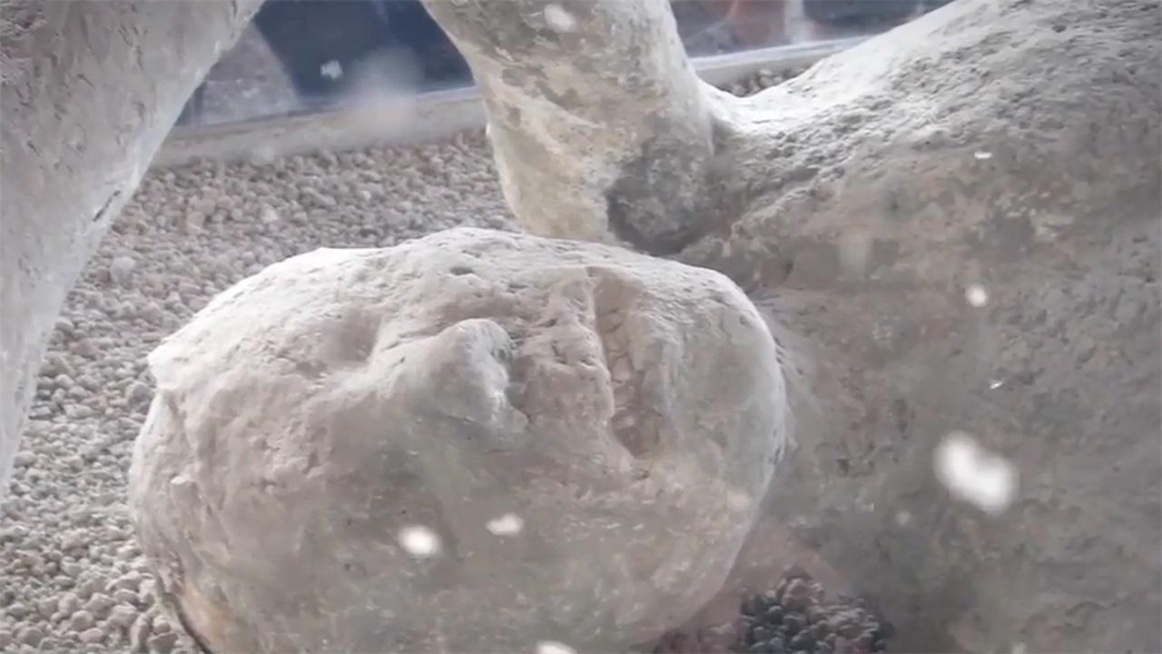 「」男人被冷冻足足50年,本该在三年前苏醒,但结果如何了?