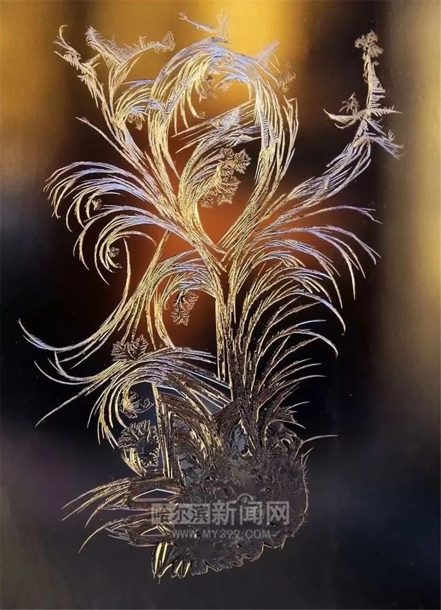 哈尔滨新闻网 道路结冰黄色预警发布|本世纪同期第2冷!入冬以来全省气候冷干,1月上旬尤其冷