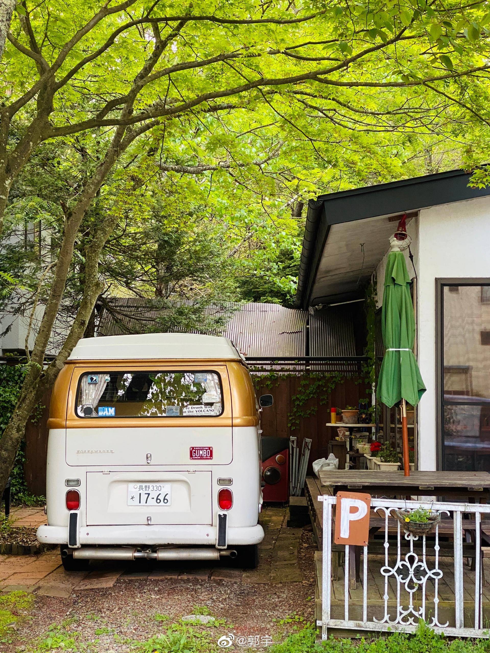 退休|文科生自学代码,28岁程序员财务自由宣告退休,凭实力活抓锦鲤