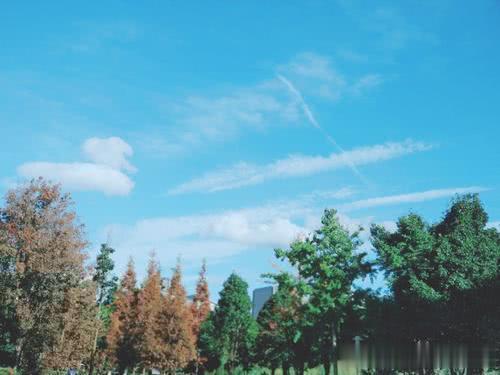 「跃龙门」进入4月,处处艳阳天,3星座财运开花,鲤鱼跃龙门,生活六六顺!