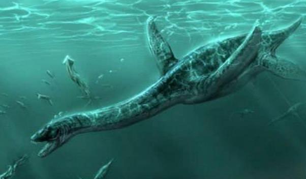 【青海湖】西藏文部湖出没神秘生物，鱼头牛身杀牦牛，专家：为史前生物？
