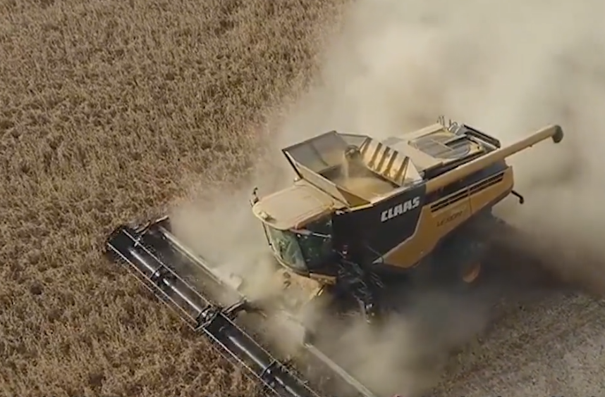 蚂蚁金服|来抢生意？出口中国千万吨大豆订单或打水漂，美：留一点给我们