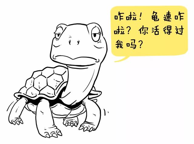 市盈率▲中国股市：“市盈率”代表什么意思？值得你反复死记100遍