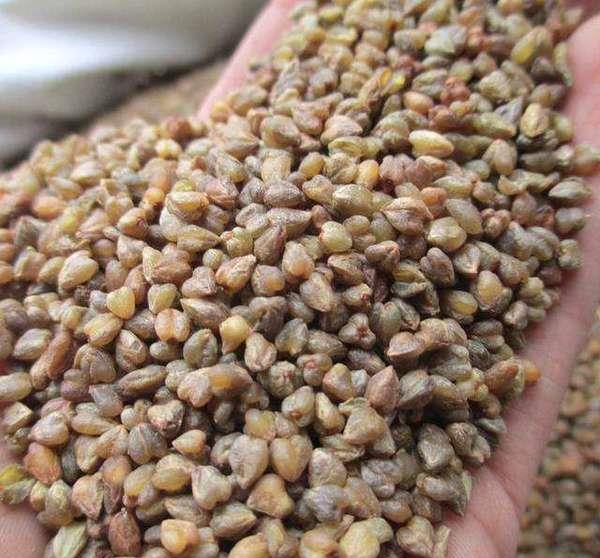 高血压■高血压还傻傻只吃药？教你一招不吃药不花钱，血压轻松降