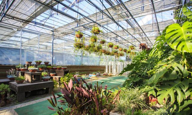 全国唯一的5A级乡村，住房有补贴生活有补助，家家住别墅