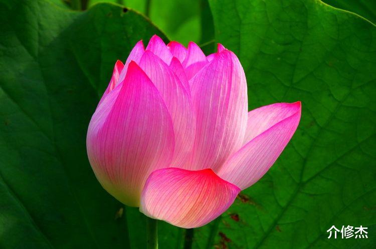 天蝎座|9月下旬，桃花缠身，姻缘入命，邂逅命定缘分的四大星座