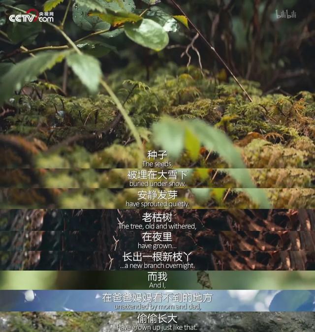 新周刊|你一辈子都不愿进的工厂，是村小孩子的人生理想