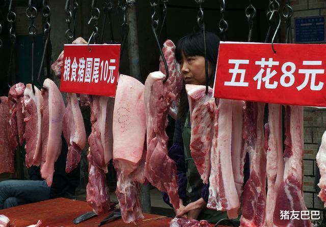 一斤豬肉28，豬價還在“呼哧呼哧”漲，豬肉啥時降至“白菜價”？-圖5