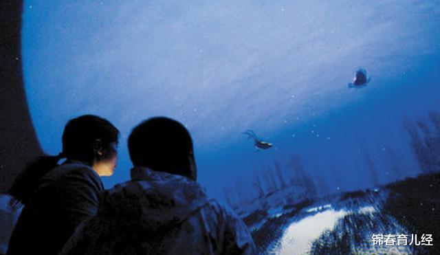 「教育方式」高考730分的学霸，头脑与颜值兼具的状元，其母教育方式值得模仿